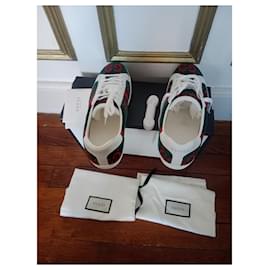 Gucci-Velvet Ace-Light green