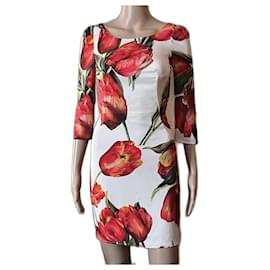 Dolce & Gabbana Seidenkleid Andere