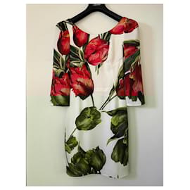 Dolce & Gabbana-Dresses-Other