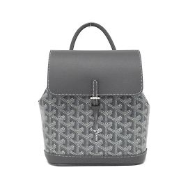 Goyard ALPIN MINI Rucksack Braun