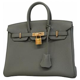 Hermès-Hermes Kelly 25 Handbag in Etain Togo Leather-Grey