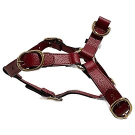 GUCCI Purses, wallets & cases T.  Leather Red
