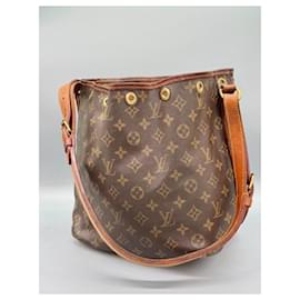 Louis Vuitton-Petit Noe Bag-Brown