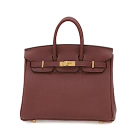 Hermès-Hermes Birkin 25 Handbag in Togo Rouge H-Red