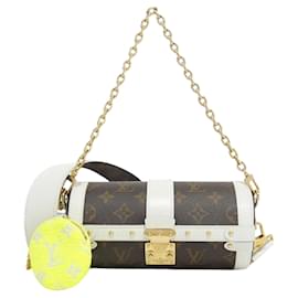 Louis Vuitton-Louis Vuitton Papillon-Brown