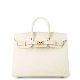 Hermès-Hermes Birkin 25 Serie Cle Epson Y Stamp Handbag-Other