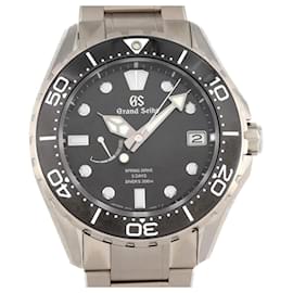 Grand Seiko-Grand Seiko Evolution 9 Collection Divers Watch-Other