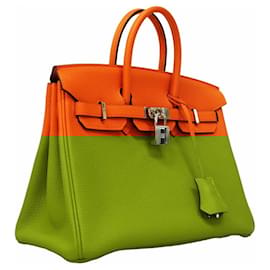 Hermès-Hermes Birkin 25 Handbag in Orange Togo Leather-Orange