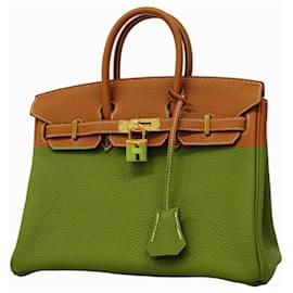 Hermès-Hermes Birkin 25 Handbag in Gold Togo Leather-Golden