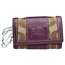 Sac à main en cuir violet Coach Violet