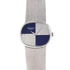 Reloj Patek Philippe 3845 909G-059 WG Otro