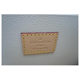 Louis Vuitton-LOUIS VUITTON - NICE BB POOL BRUME VANITY CASE - NEW SOLD OUT M80357-Beige