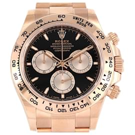 Rolex-Rolex Daytona 126505 PG/RG Wristwatch-Other