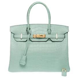 Hermès-HERMES Birkin 30 Bag in Exotic Leather Green - 102508-Green