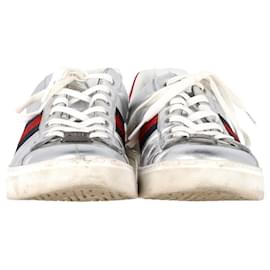 Gucci-Gucci Ace Web Low-Top Sneakers in Silver Leather-Silvery,Metallic