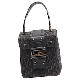 Dior-Christian Dior John Galliano trotter Street Chic canvas vanity bag-Black