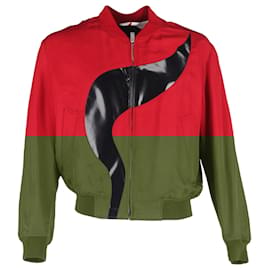 Alexander Mcqueen- Alexander Mcqueen Flame Bomber Jacket in Red Polyester-Red