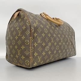 Louis Vuitton-Louis Vuitton Monogram Speedy 40 Handbag-Brown