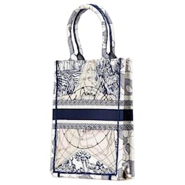 Dior-Dior Blue Embroidered Canvas Around The World Vertical Book Tote-Blue