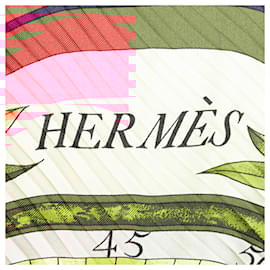 Hermès-Hermès Blue Among the Flowers I Count the Hours Pleated Silk Scarf-Blue,Navy blue