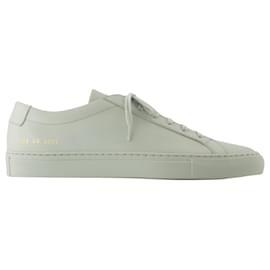 Autre Marque-Original Achilles Low Sneakers - COMMON PROJECTS - Leather - Green-Green