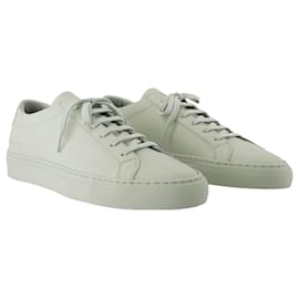 Autre Marque-Original Achilles Low Sneakers - COMMON PROJECTS - Leather - Green-Green