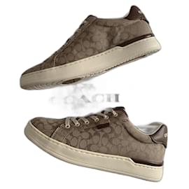 Coach Baskets Blanc Marron clair Marron foncé