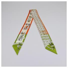 Hermès-HERMES Scarves T.  Silk-Multiple colors