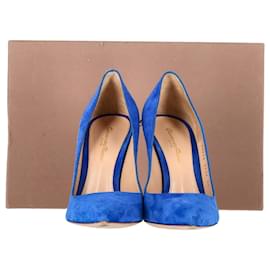 Gianvito Rossi-Gianvito Rossi Pointed Toe Pumps in Blue Suede -Blue