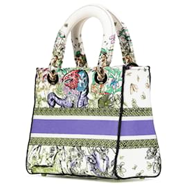 Dior-Dior White Medium Canvas D Constellation Embroidered Lady D Lite-White