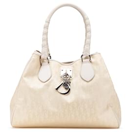 Dior-Dior Brown Diorissimo Trotter Canvas Lovely Handbag-Brown,Beige