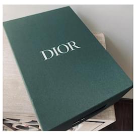 Christian Dior-Sneakers B27 Low World Tour Dior Green Leather-Green