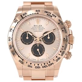 Rolex-Rolex Daytona 126505 PG/RG Wristwatch-Other