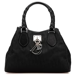 Dior-Dior Black Diorissimo Trotter Canvas Lovely Handbag-Black