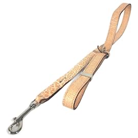 Hermès Coleira para cachorro Hermes Laranja Laranja