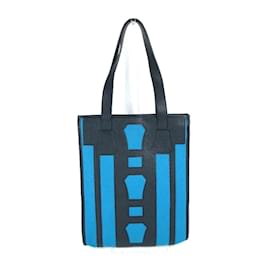 Hermès-Sac vertical tote Petit H bicolore Hermes-Noir,Bleu