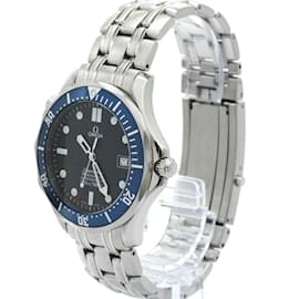 Omega-Omega Seamaster Professional 300M Automatic Watch-Other