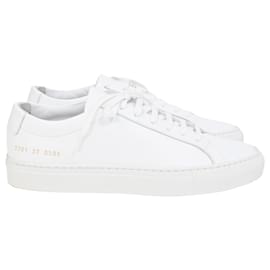Autre Marque-Common Projects Achilles Low-Top Sneakers in White Leather-White,Cream