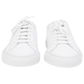 Autre Marque-Common Projects Achilles Low-Top Sneakers in White Leather-White,Cream