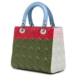 Dior-DIOR Handbags T.  Leather-Red