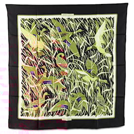 Hermès-Hermès Black Cols Verts Silk Scarf-Black