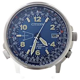 Citizens of Humanity-Citizen Promaster Pilot Men's Watch-Other