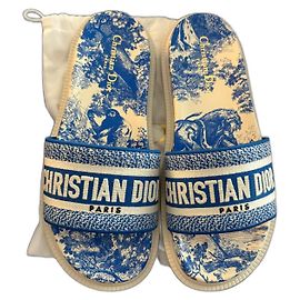 Dior Mules Blue