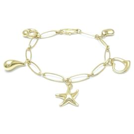 Tiffany & Co-Pulseira Charm Icon da Tiffany & Co.-Outro