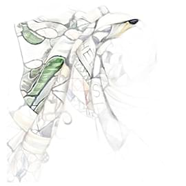 Hermès-Hermes Carre 90 TROPHEES de VENISE Scarf-Green