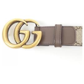 Gucci-Gucci Standard Belt-Brown,Beige