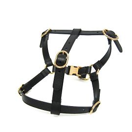 Gucci Interlocking G Pet Harness Black