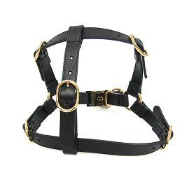 Gucci Interlocking G Pet Harness Black