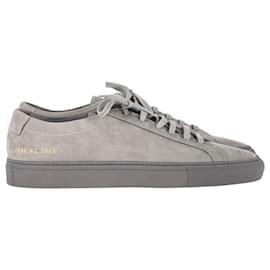 Autre Marque- Common Projects Achilles Sneakers in Grey Suede-Grey