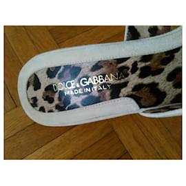 Dolce & Gabbana-DOLCE & GABBANA SUEDE MULES.-Eggshell